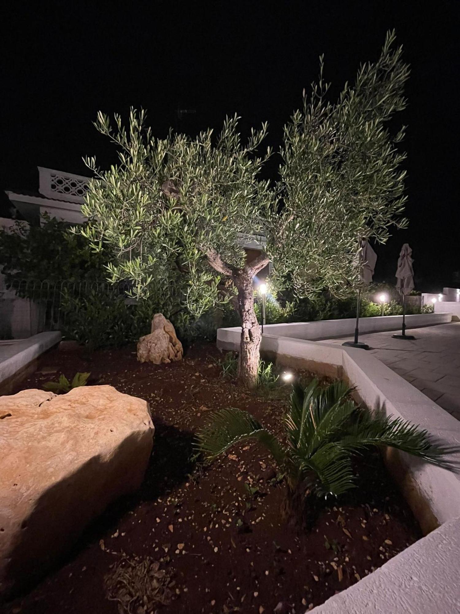 Allivigne Rooms & Pool بولينيانو آ ماري المظهر الخارجي الصورة